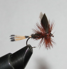 ���� ����� Dry fly  Quill DFQ 22  